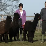 Fairshaw Rigg Bed And Breakfast