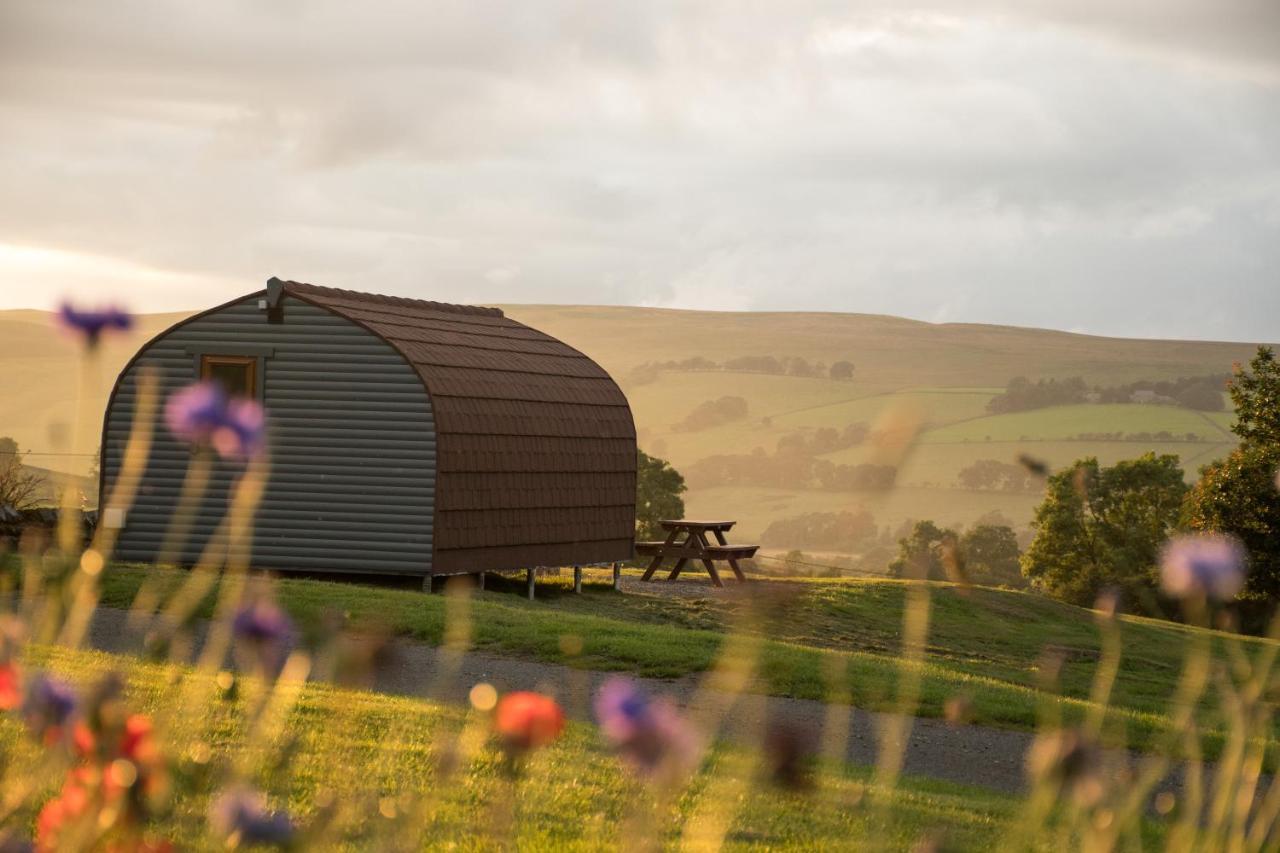 Farm stay Wild Northumberland Glamping *