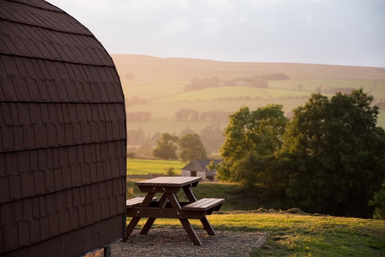 Farm stay Wild Northumberland Glamping *