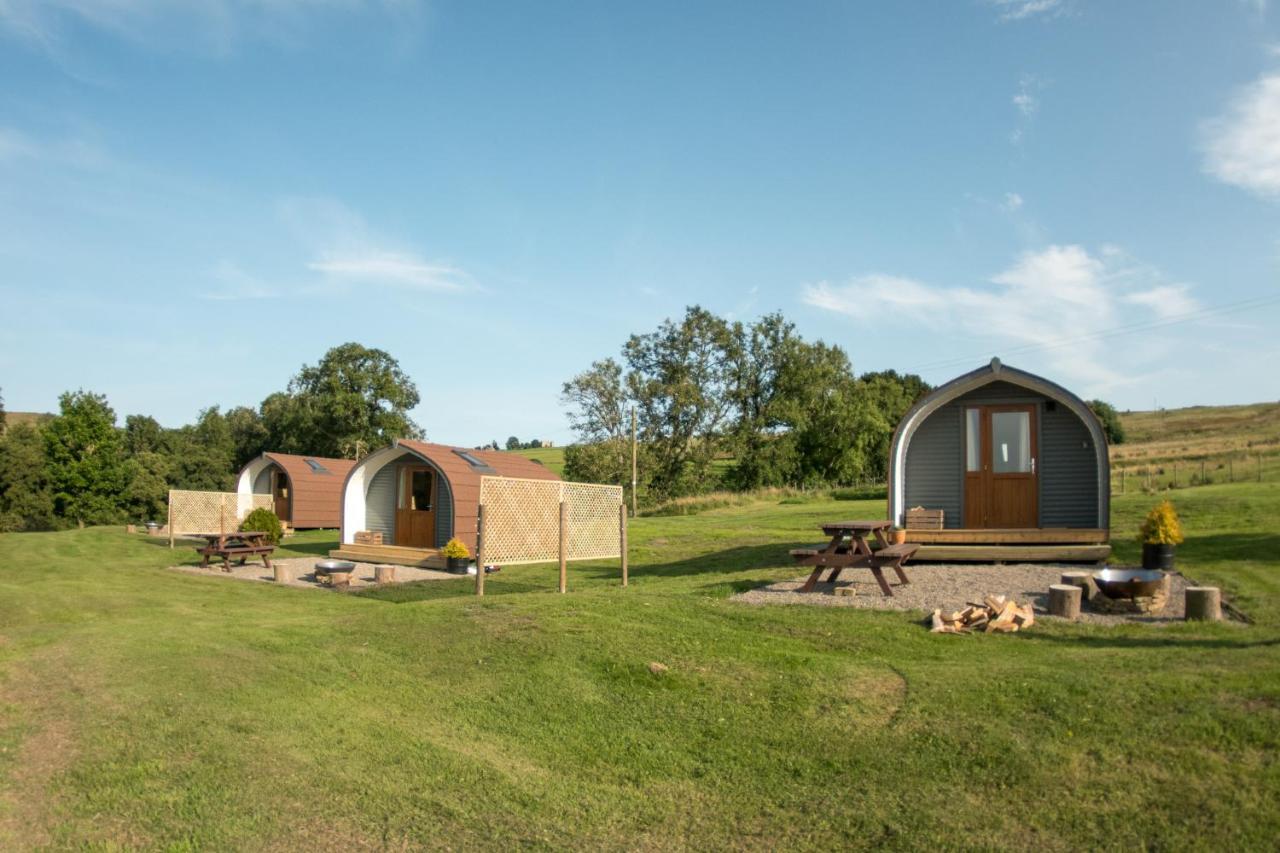 Wild Northumberland Glamping Farm stay *