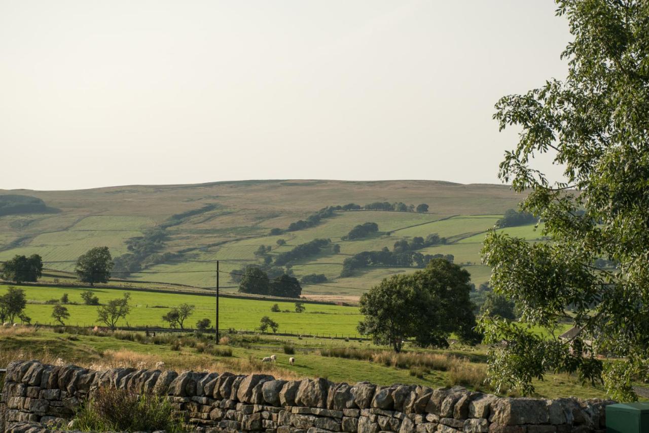 Wild Northumberland Glamping Farm stay