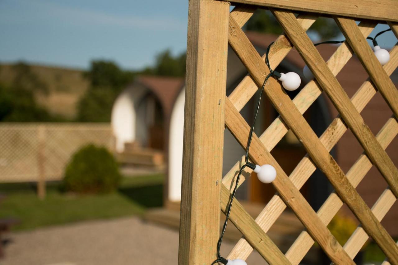 Wild Northumberland Glamping