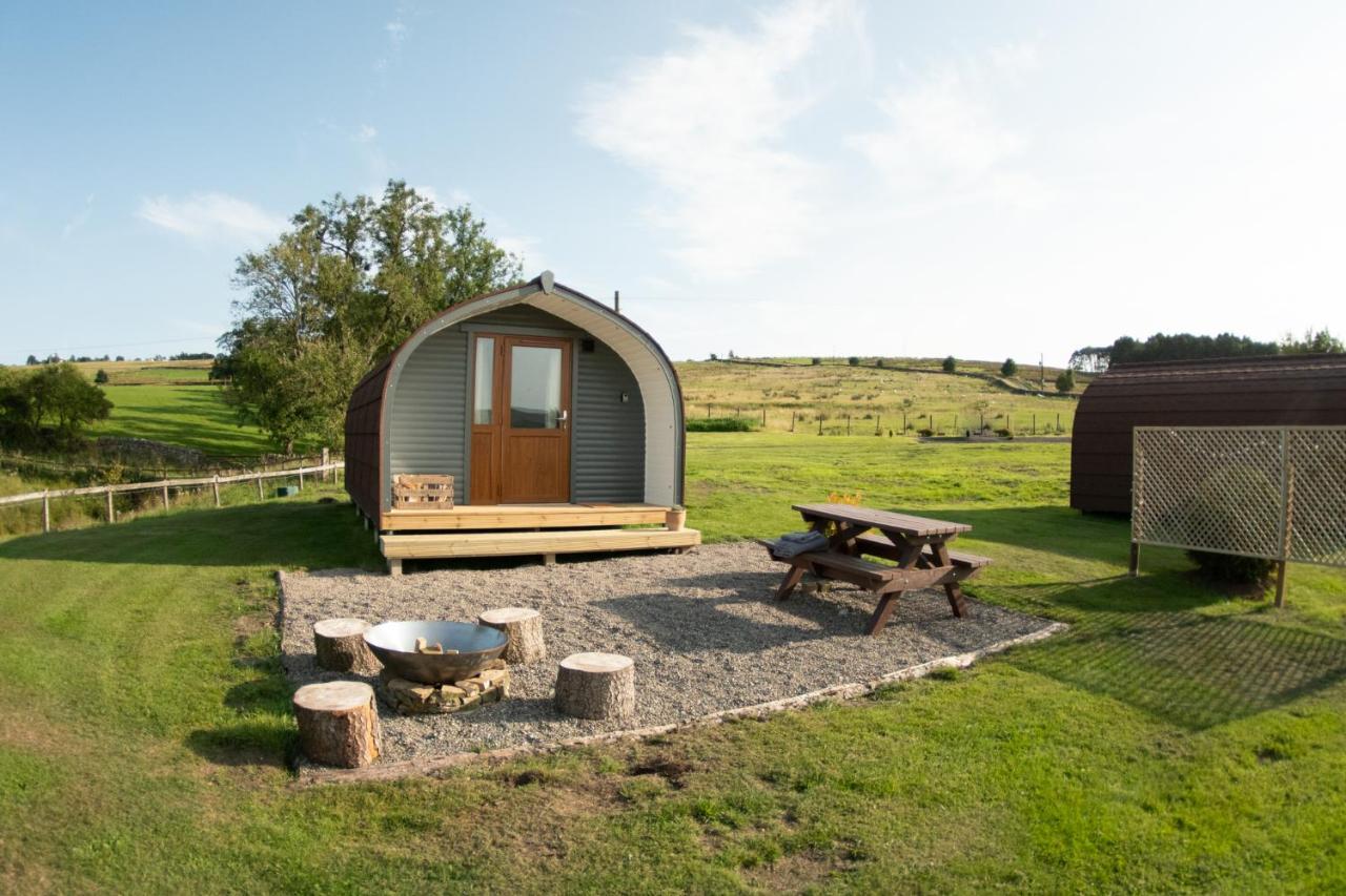 Farm stay Wild Northumberland Glamping *