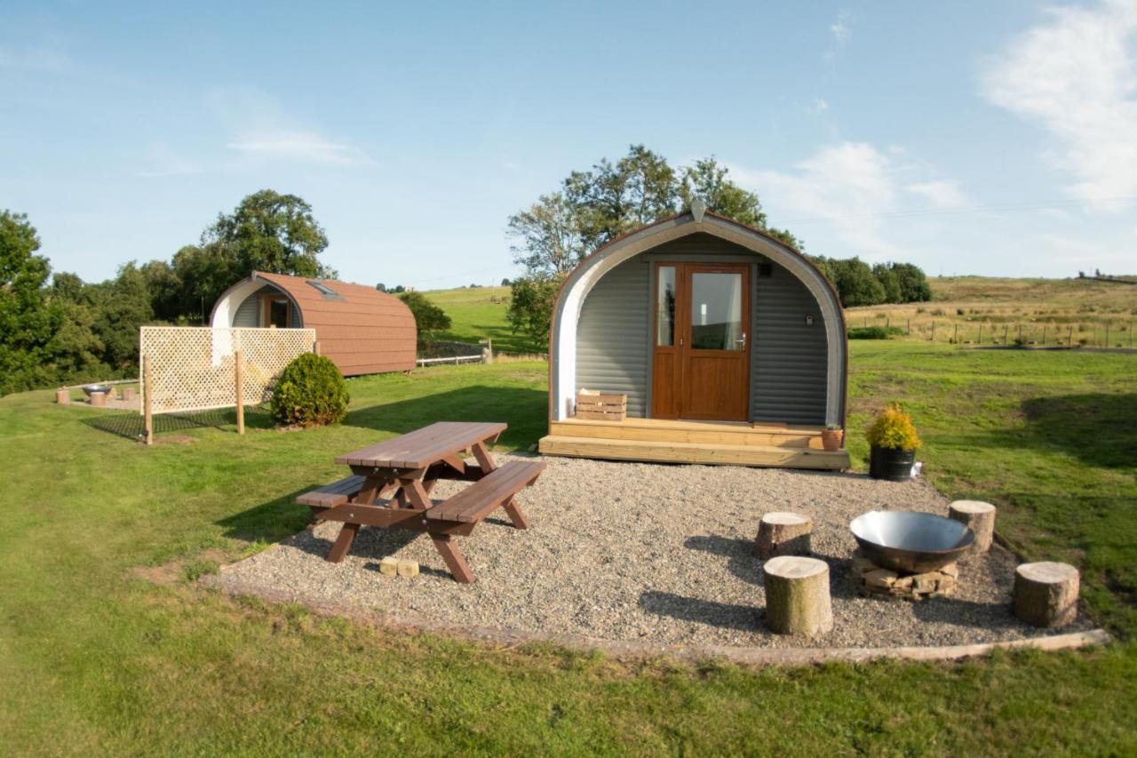 Wild Northumberland Glamping Farm stay *