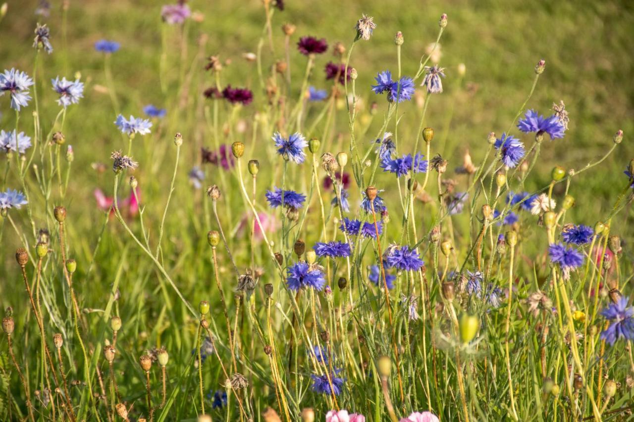 Farm stay Wild Northumberland Glamping Hexham