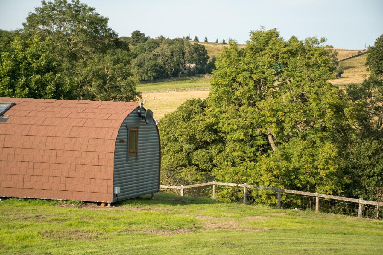 Wild Northumberland Glamping Hexham