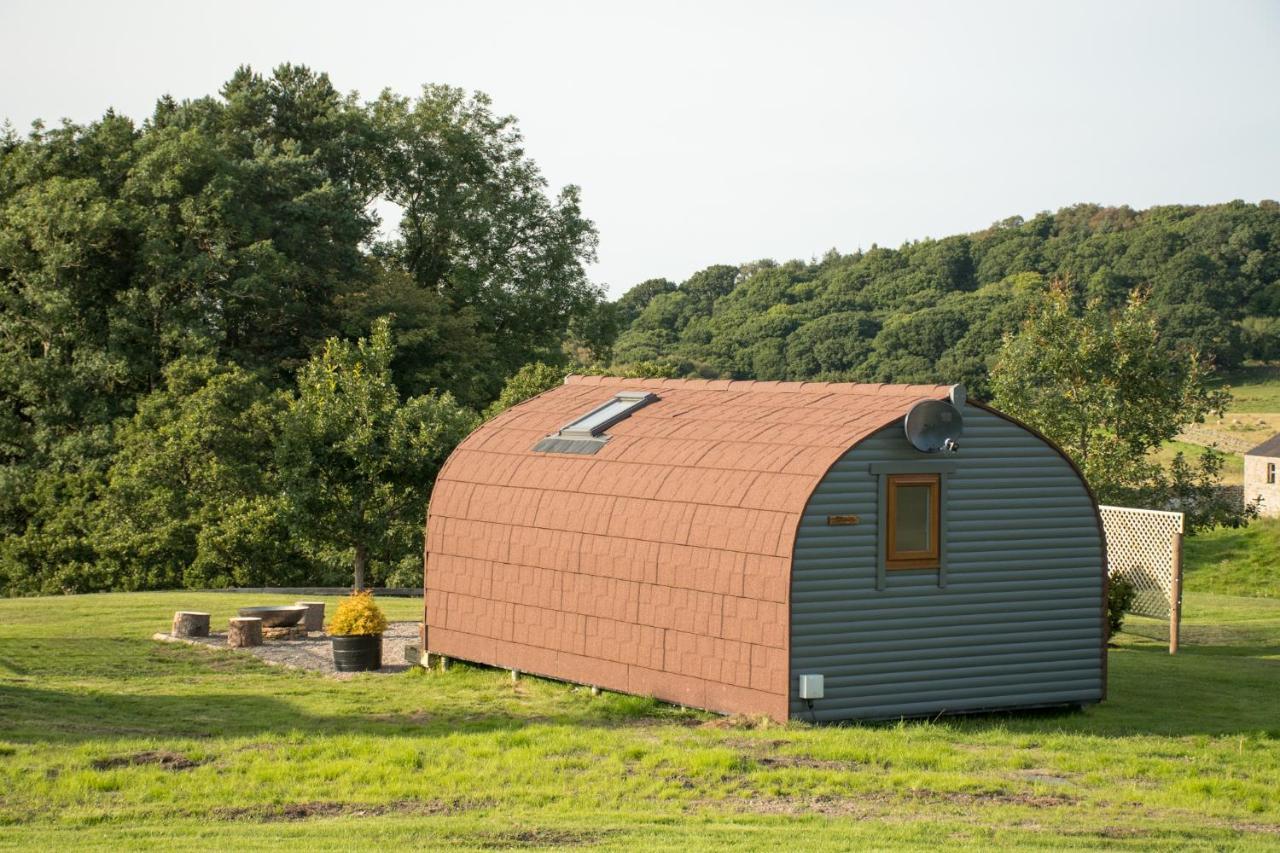 Farm stay Wild Northumberland Glamping Hexham