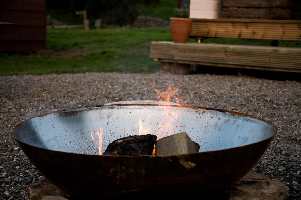 Wild Northumberland Glamping Farm stay *