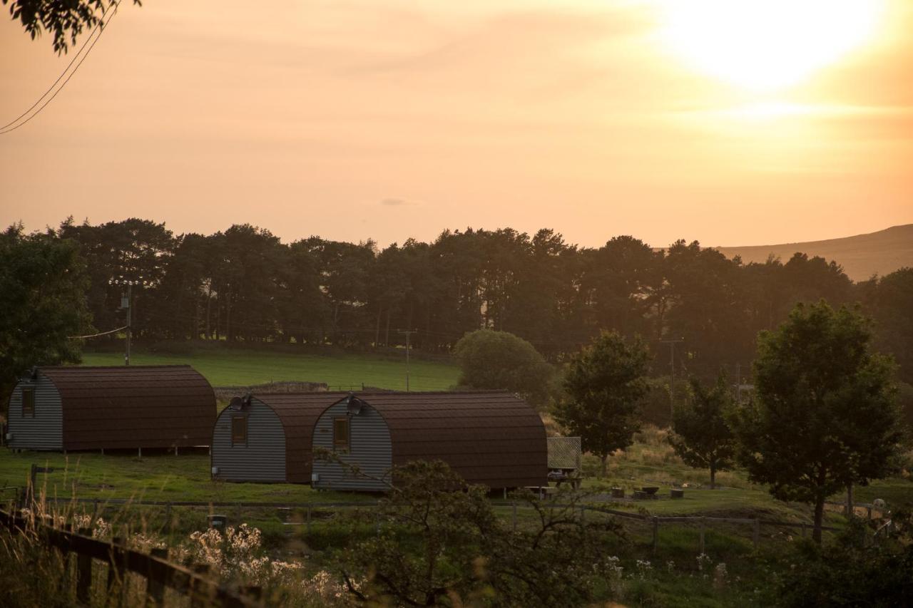 Wild Northumberland Glamping Farm stay Hexham