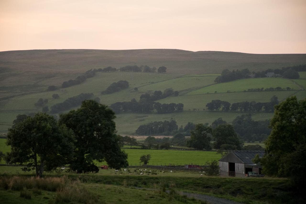 Farm stay Wild Northumberland Glamping *