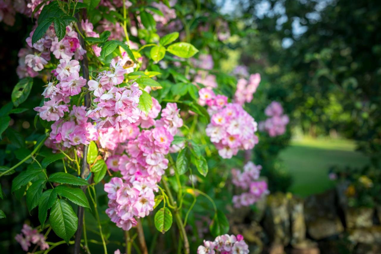 Holiday home West Cottage, Southlands Farm, Gunnerton Hexham