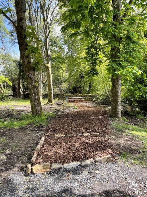 Holiday home Dark Sky Retreat Perfect To Gather And Celebrate! Hexham