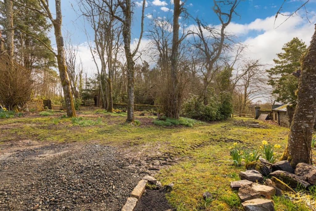 Dark Sky Retreat Perfect To Gather And Celebrate! * Hexham