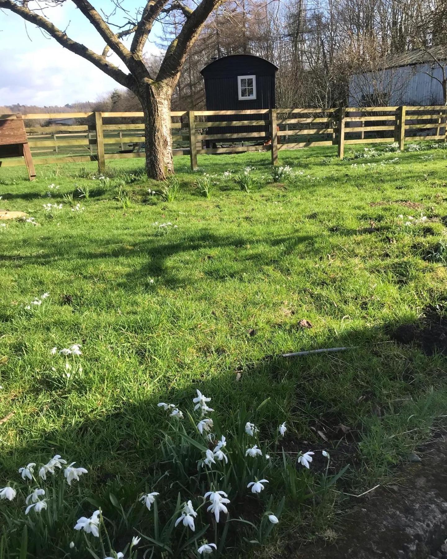 Luxury tent Hexhamshire Shepherd Hut Hexham