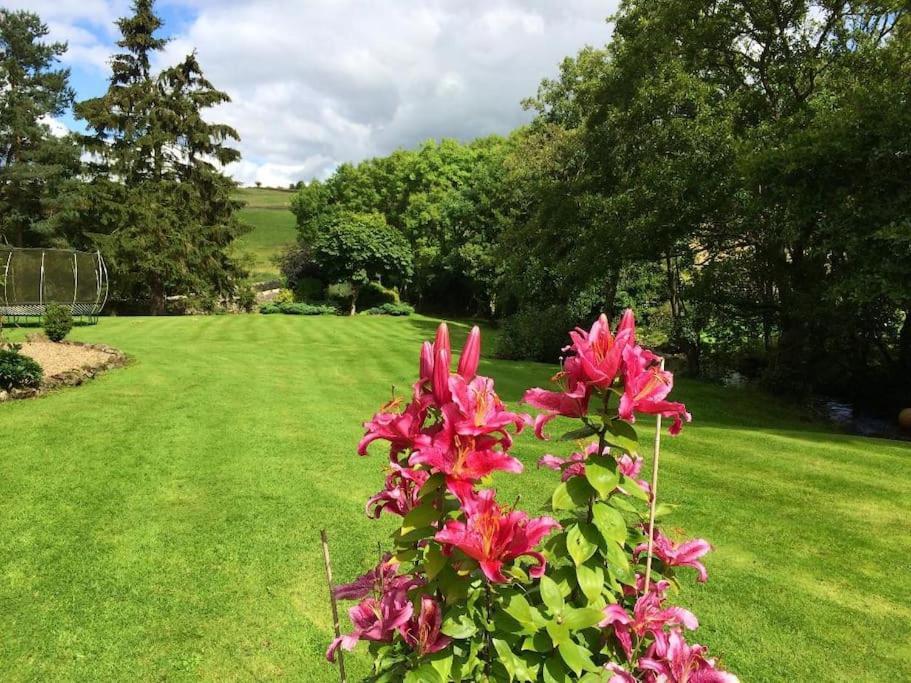 Holiday home Homely Northumbrian Getaway *