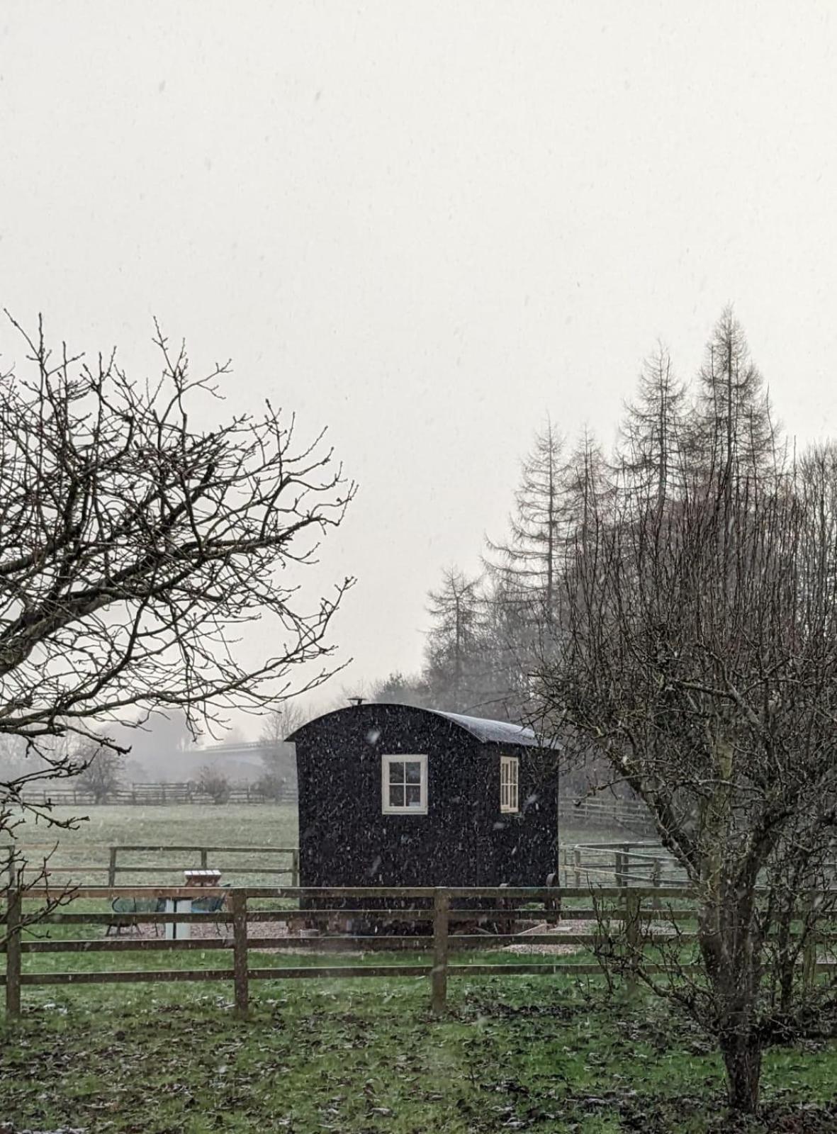 Hexhamshire Shepherd Hut Luxury tent Hexham