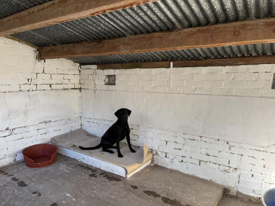 Holiday home The Kennels *