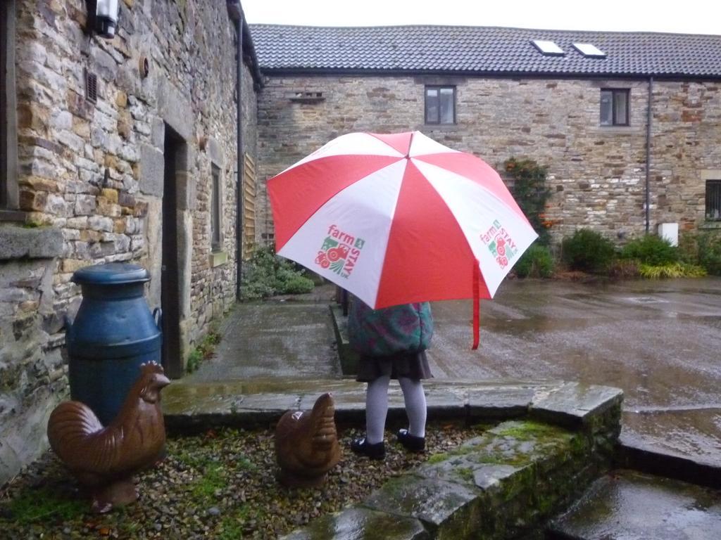 Rye Hill Farm Bed & Breakfast Hexham