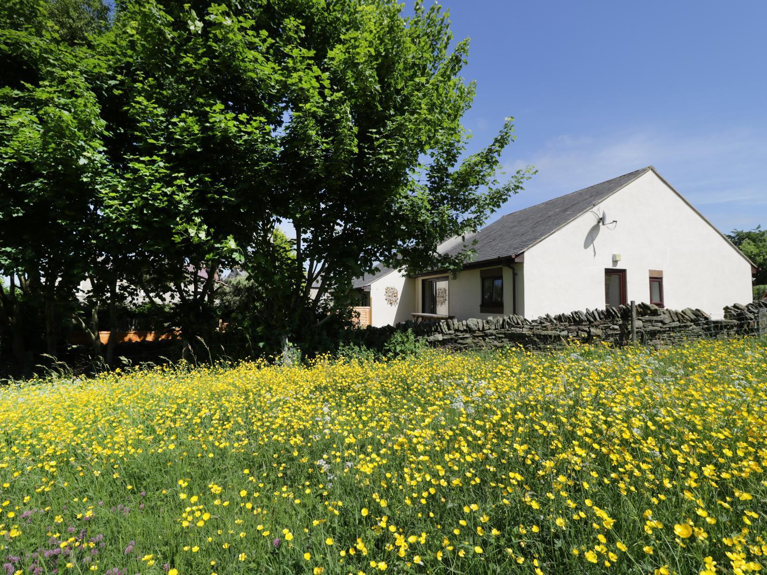 Holiday home Buttercup *