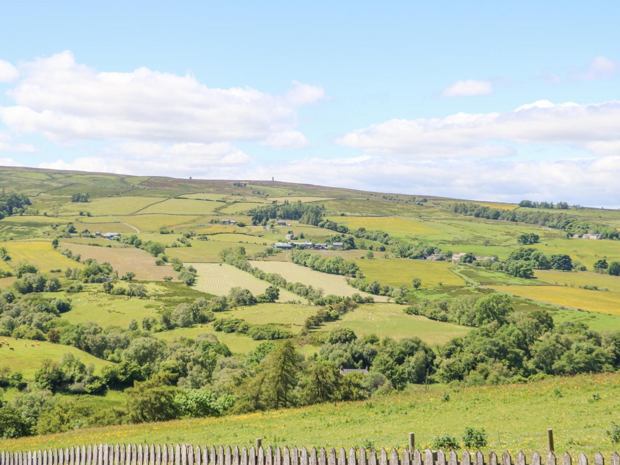 Dale View * Hexham
