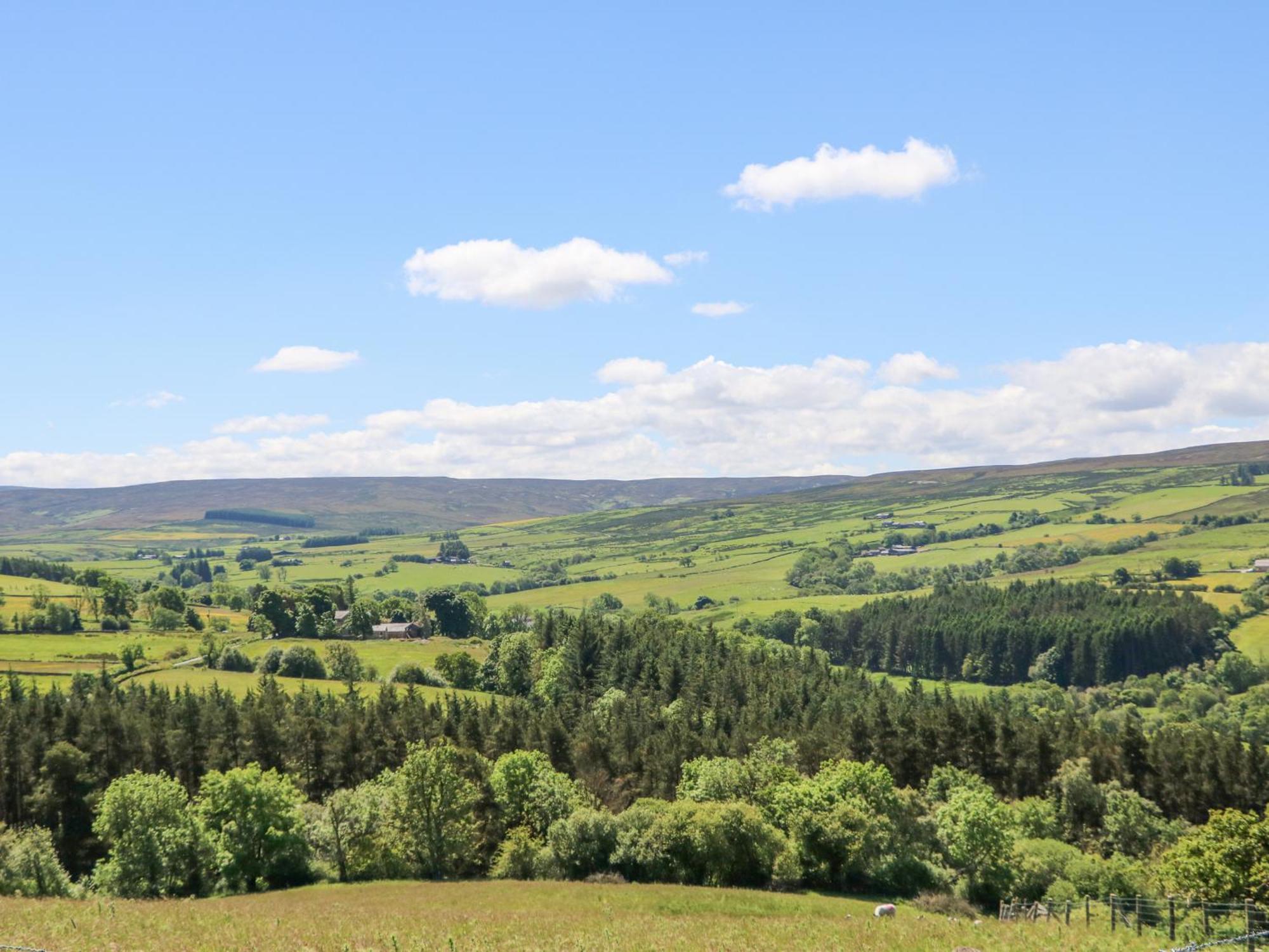 Dale View * Hexham