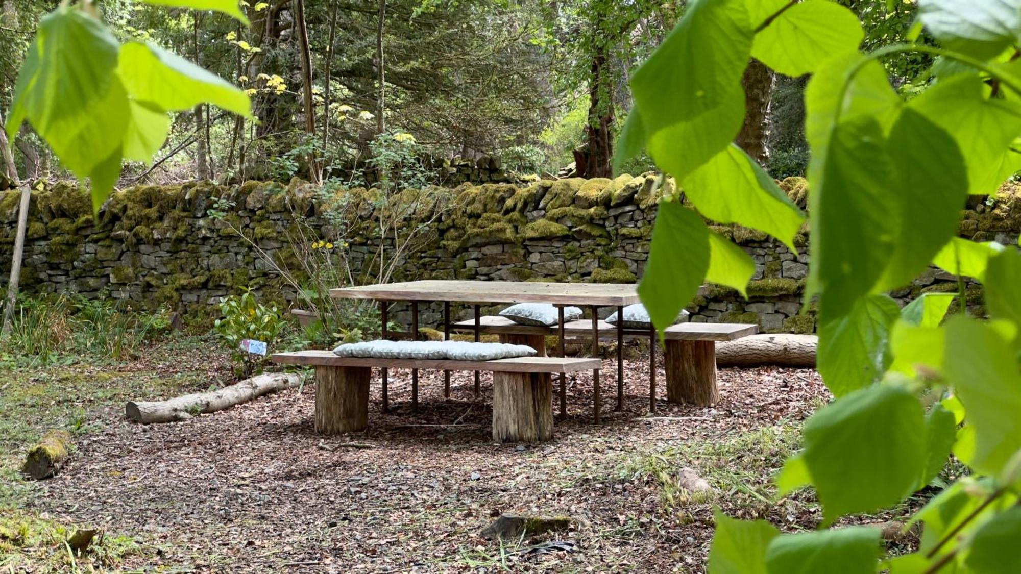 Dark Sky Retreat Perfect To Gather And Celebrate!