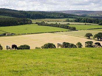 Bed & Breakfast Rye Hill Farm 4*