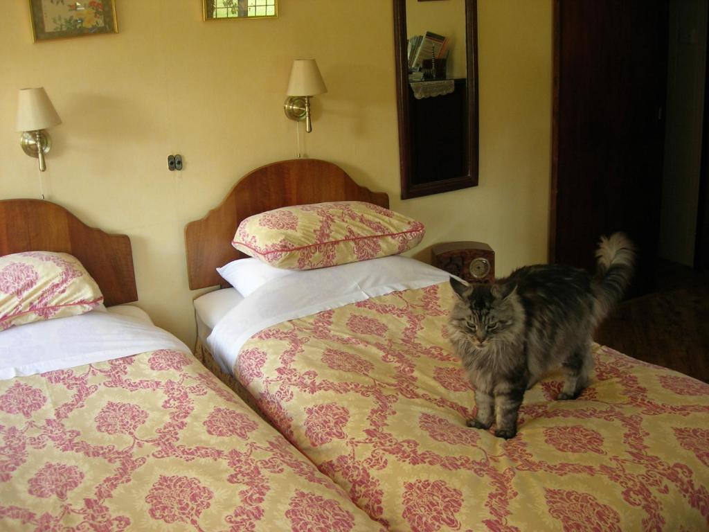 Bed & Breakfast Thornley House Hexham