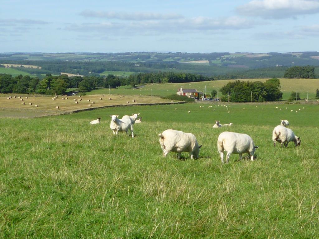 Rye Hill Farm Bed & Breakfast 4*