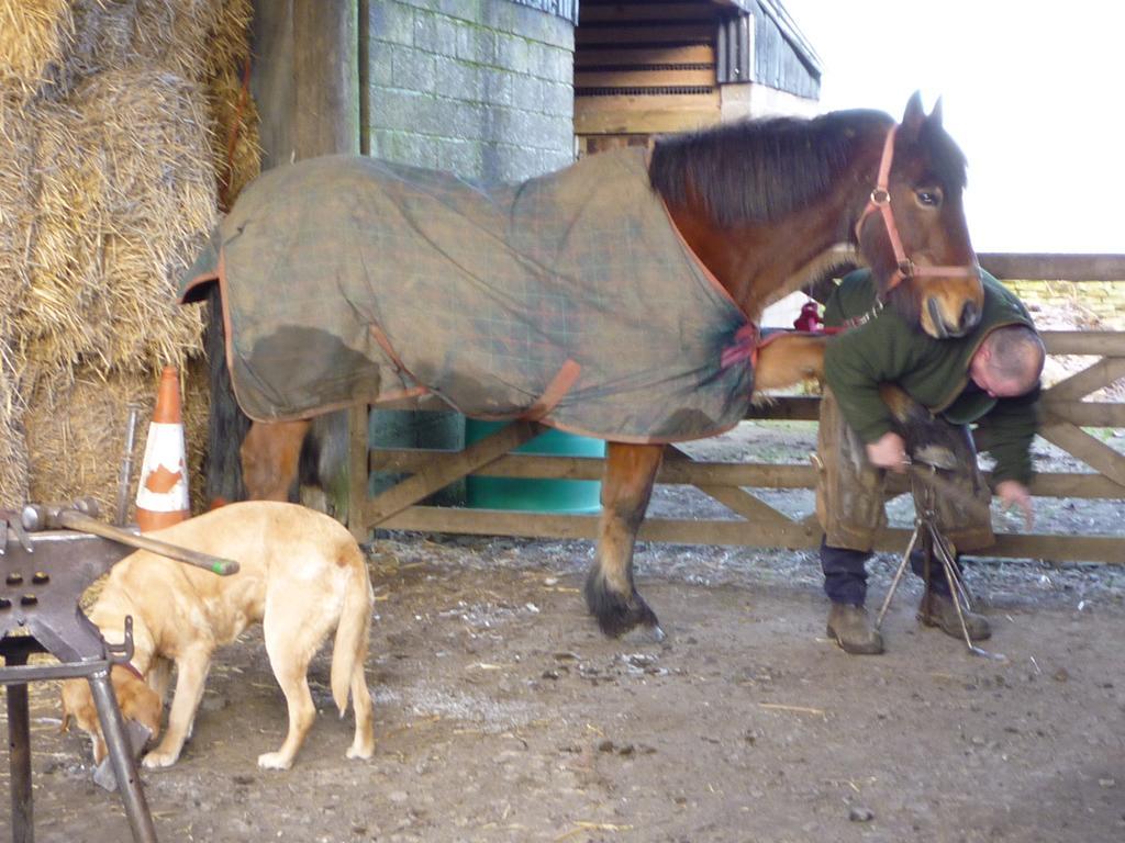 Rye Hill Farm Bed & Breakfast