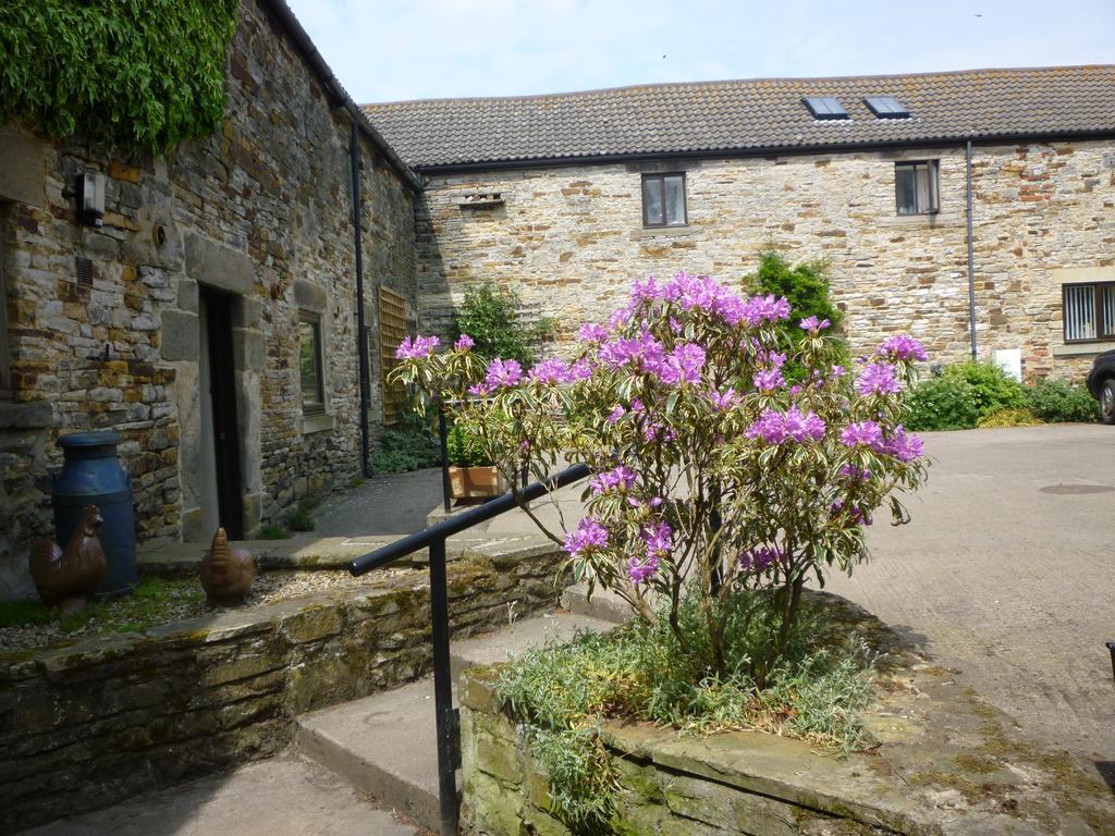 Rye Hill Farm Bed & Breakfast Hexham