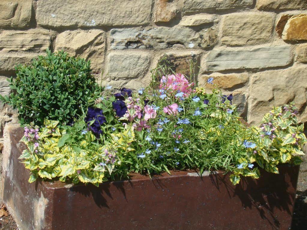 Bed & Breakfast Fairshaw Rigg 5*