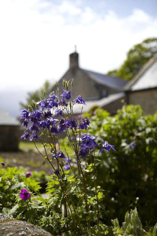 Fairshaw Rigg 5*