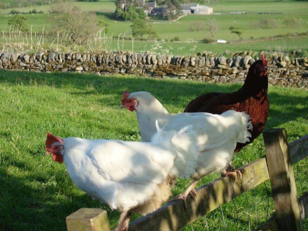 Fairshaw Rigg Bed & Breakfast Hexham