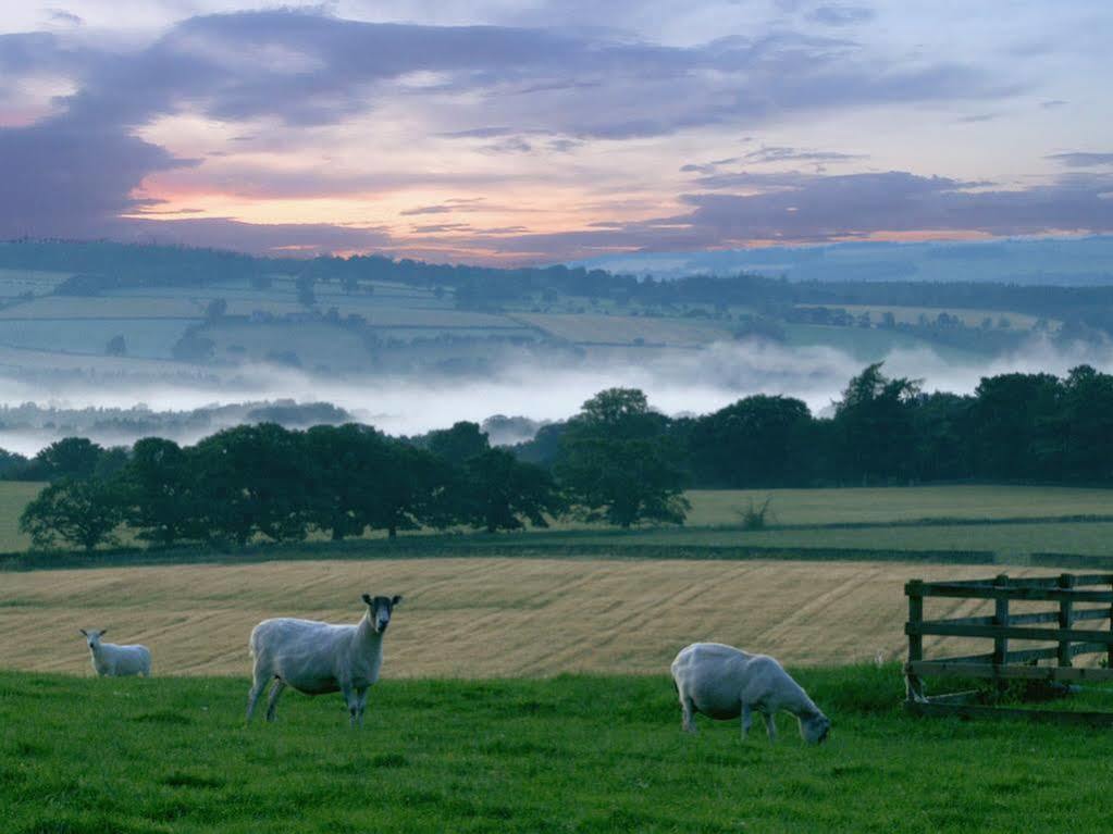 Rye Hill Farm Bed & Breakfast 4*