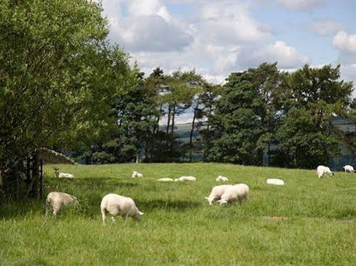 Rye Hill Farm 4*
