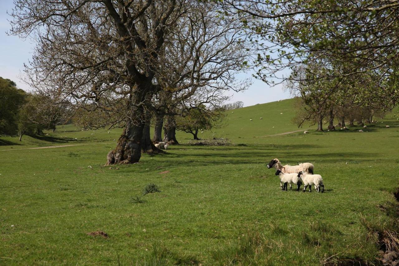 The Boe Rigg Bed & Breakfast Hexham